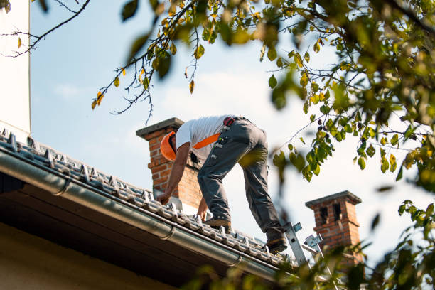 Best Storm Damage Roof Repair  in , VA
