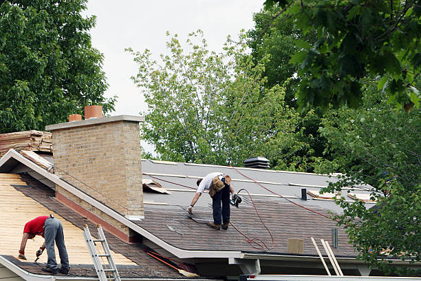 Best Roof Gutter Cleaning  in , VA
